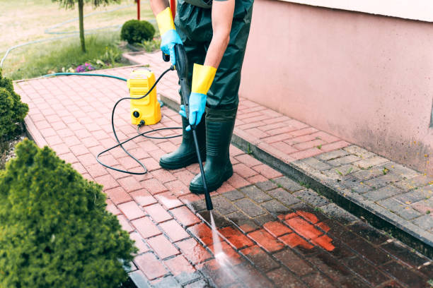 Best Residential Pressure Washing Services  in Williamsburg, FL