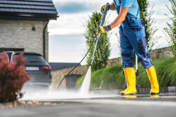 Best Roof Power Washing Services  in Williamsburg, FL